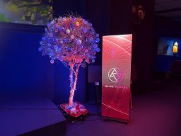 alive-visions-showoom-0004